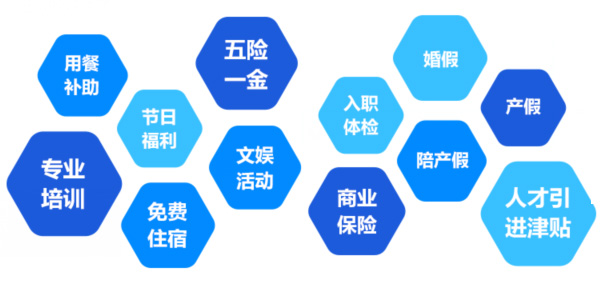 提供全面、系統(tǒng)、專業(yè)的培訓和廣闊的<br>職業(yè)發(fā)展空間和提升機會